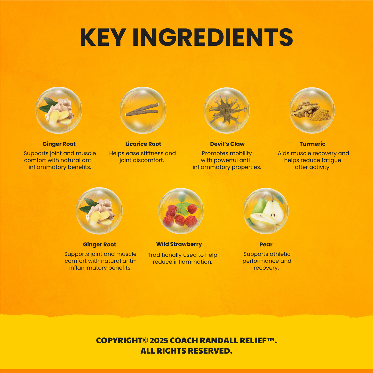 Slide (SLD) Drops for Joint and Mobility Support | Coach Randall Relief