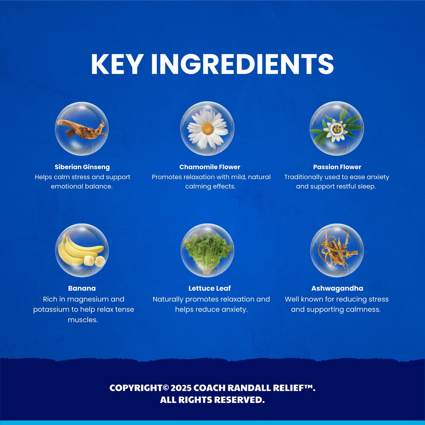 Relax (RLX) Drops for Calm, Focus, Clarity & Stress | Coach Randall Relief