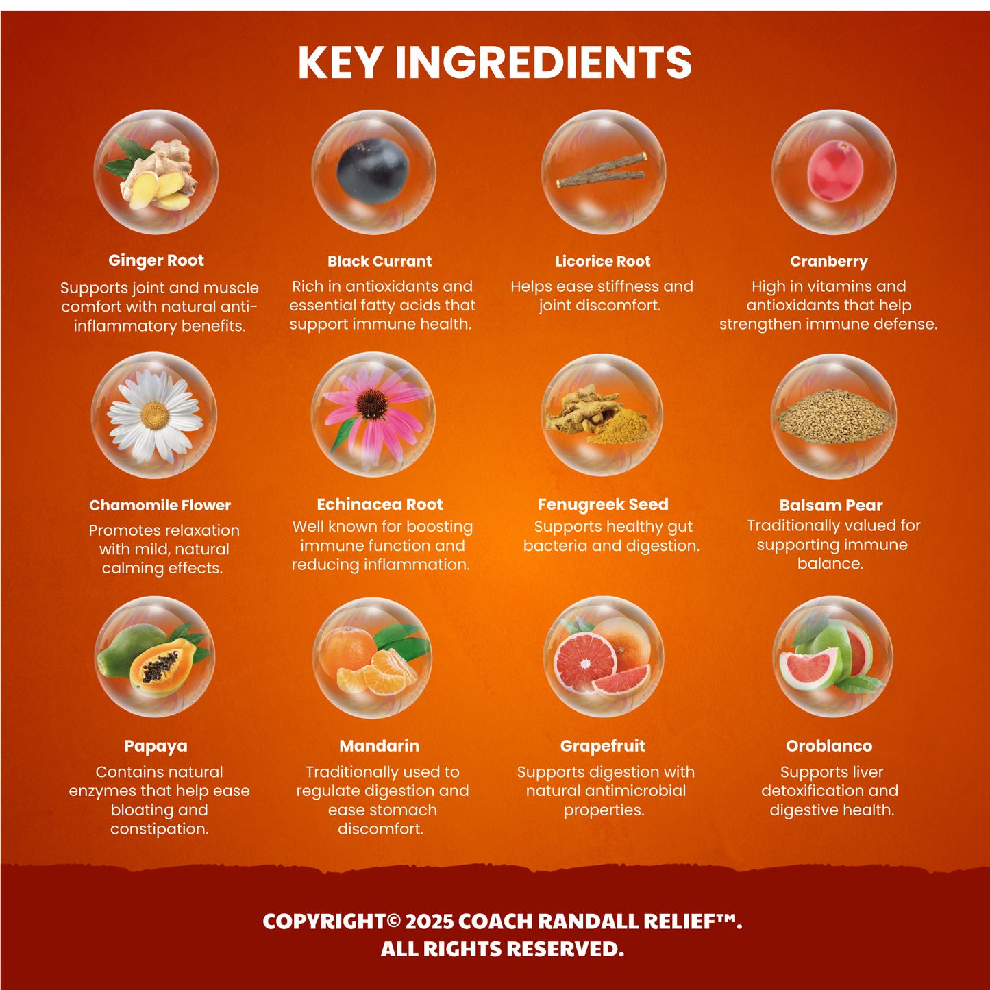 Mutli-Spectrum (MLS) Lozenges for Daily Whole-Food Wellness Support | Coach Randall Relief